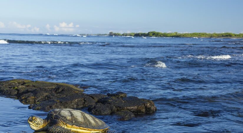 Molokai Island