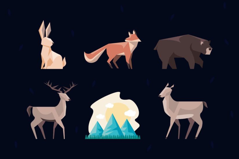 How to Watch Wild Animals Without Turning Observation Into Disturbance