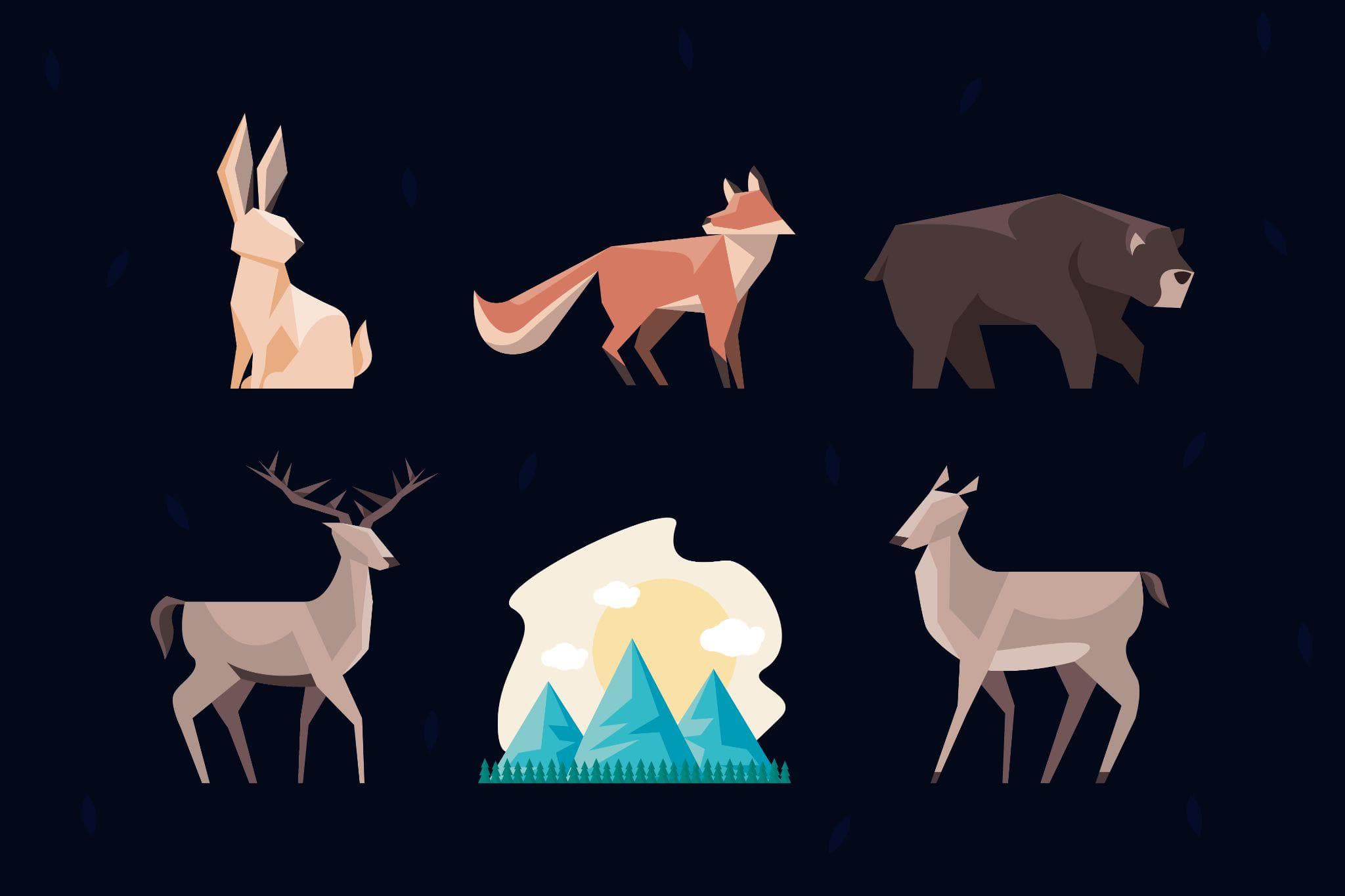 How to Watch Wild Animals Without Turning Observation Into Disturbance
